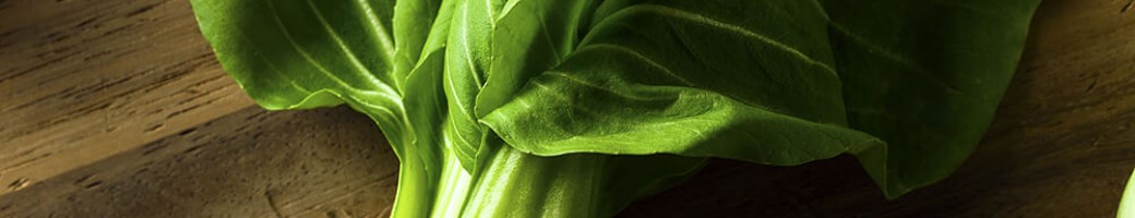 Bok Choy