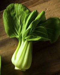 Bok Choy