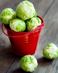 Cabbage & Brussel Sprouts