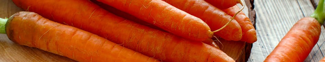 Carrots & Parsnips
