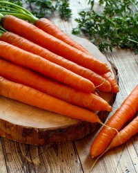 Carrots & Parsnips