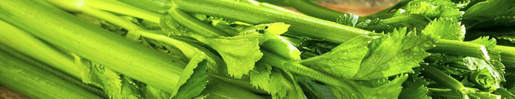 Celery