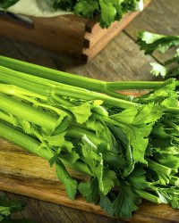 Celery