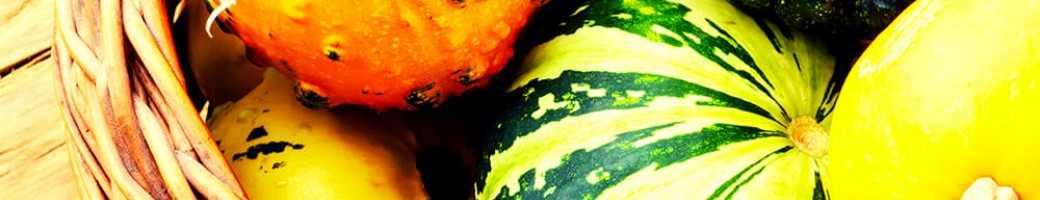 Pumpkins, Squash & Gourds