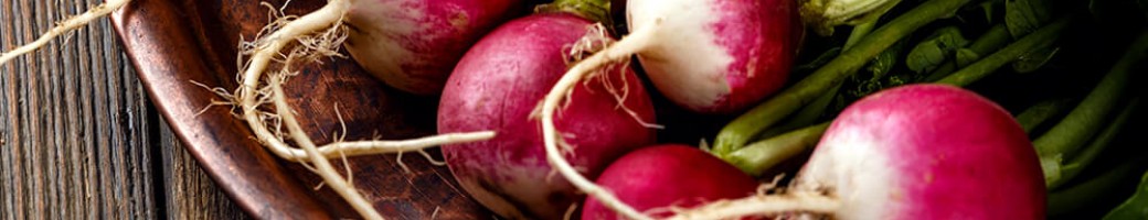 Radish & Rutabaga