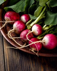 Radish & Rutabaga