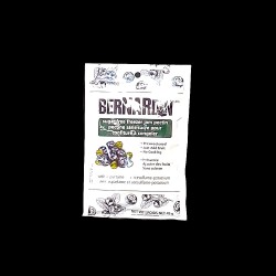 Bernardin Sugar Free Freezer Jam Pectin (45g)