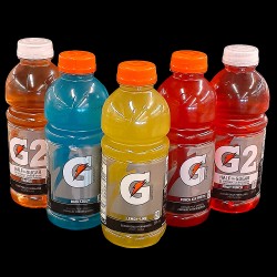 Gatorade (591ml)