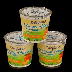 Dairyland Peach Yogurt Cups (175g)