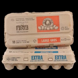 Maritime Pride White Eggs (18-Pack)