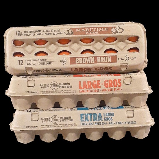 Maritime Pride Eggs (12-Pack)