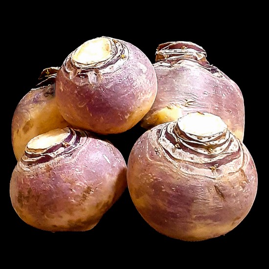 Turnip ($0.99/lb)