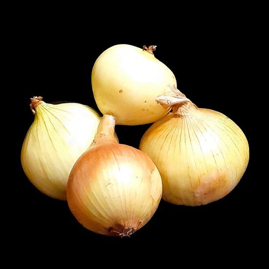 Spanish Onions ($1.79/lb)