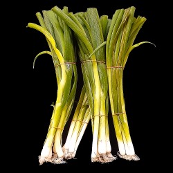 Green Onions ($1.19/Bunch)
