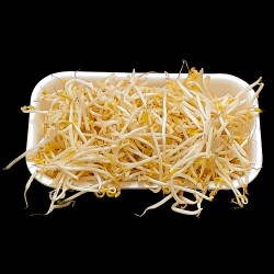 Bean Sprouts ($2.49/lb)