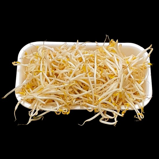 Bean Sprouts ($2.49/lb)