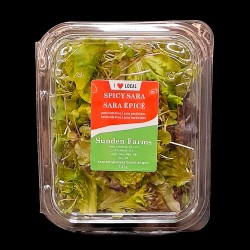 Local Salad Mix - Spicy Sara